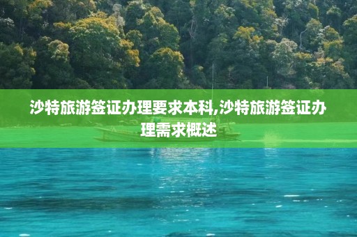 沙特旅游签证办理要求本科,沙特旅游签证办理需求概述