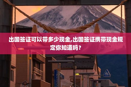 出国签证可以带多少现金,出国签证携带现金规定你知道吗？