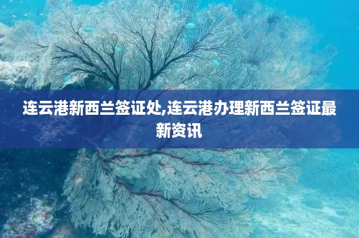 连云港新西兰签证处,连云港办理新西兰签证最新资讯