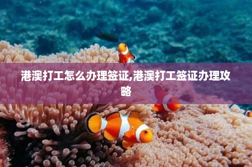 港澳打工怎么办理签证,港澳打工签证办理攻略