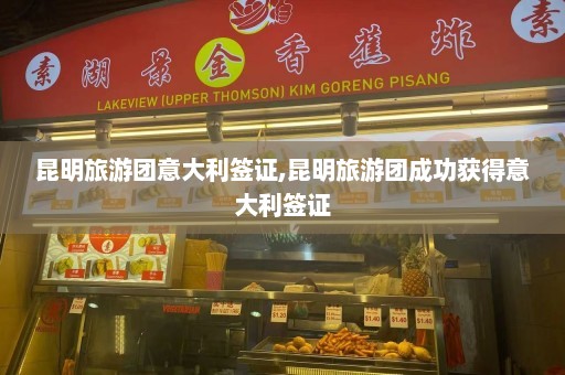 昆明旅游团意大利签证,昆明旅游团成功获得意大利签证