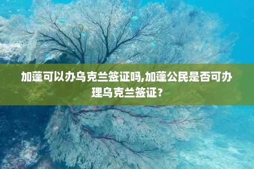 加蓬可以办乌克兰签证吗,加蓬公民是否可办理乌克兰签证？