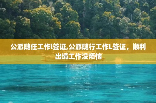 公派随任工作l签证,公派随行工作L签证，顺利出境工作没烦恼