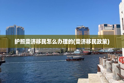 护照斐济移民怎么办理的(斐济移民政策)  第1张