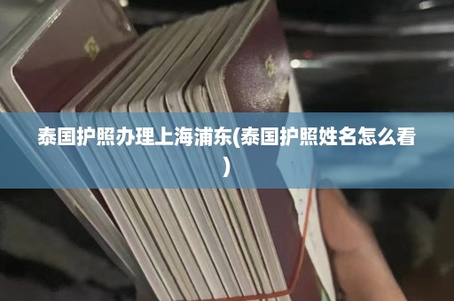 泰国护照办理上海浦东(泰国护照姓名怎么看)  第1张