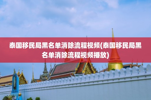 泰国移民局黑名单消除流程视频(泰国移民局黑名单消除流程视频播放)  第1张