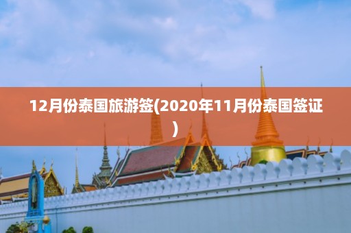 12月份泰国旅游签(2020年11月份泰国签证)  第1张