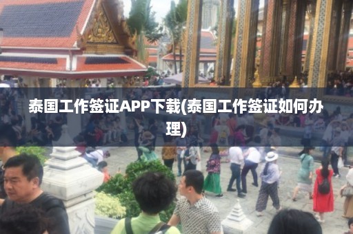 泰国工作签证APP下载(泰国工作签证如何办理)  第1张