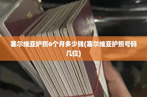 塞尔维亚护照6个月多少钱(塞尔维亚护照号码几位)