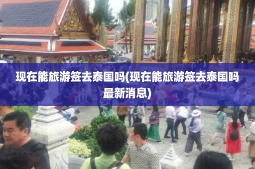 现在能旅游签去泰国吗(现在能旅游签去泰国吗最新消息)  第1张