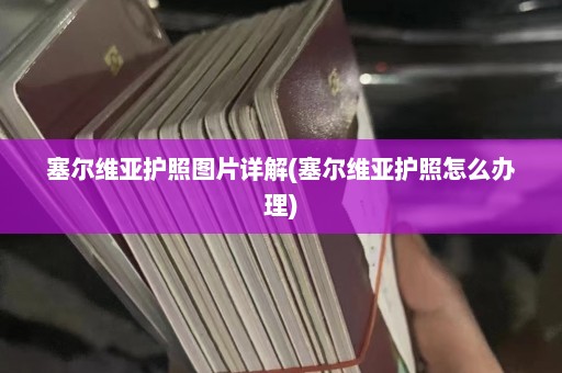 塞尔维亚护照图片详解(塞尔维亚护照怎么办理)  第1张