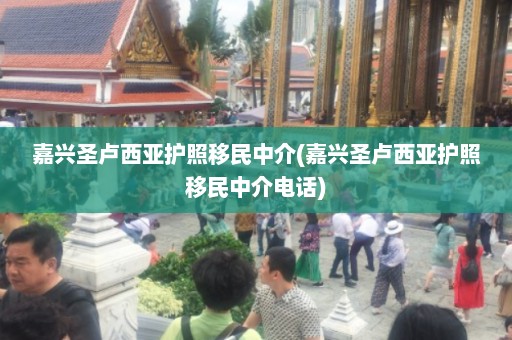 嘉兴圣卢西亚护照移民中介(嘉兴圣卢西亚护照移民中介电话)  第1张