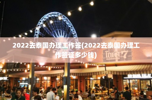 2022去泰国办理工作签(2022去泰国办理工作签证多少钱)  第1张