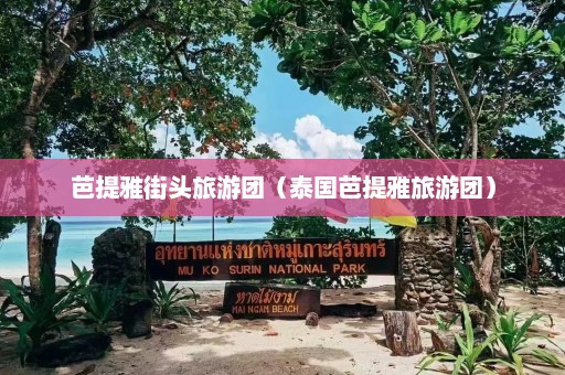 芭提雅街头旅游团（泰国芭提雅旅游团）