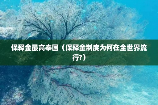 保释金最高泰国（保释金制度为何在全世界流行?）  第1张