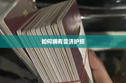 如何拥有斐济护照