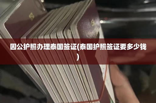 因公护照办理泰国签证(泰国护照签证要多少钱)  第1张