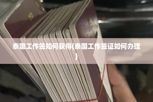 泰国工作签如何获得(泰国工作签证如何办理)  第1张