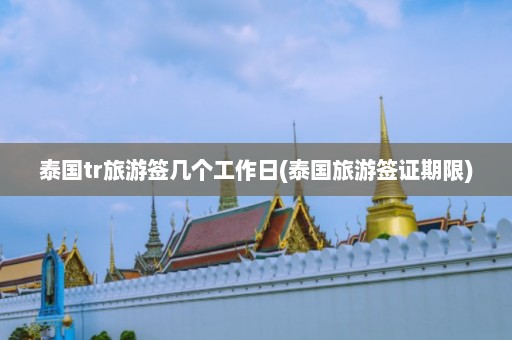 泰国tr旅游签几个工作日(泰国旅游签证期限)