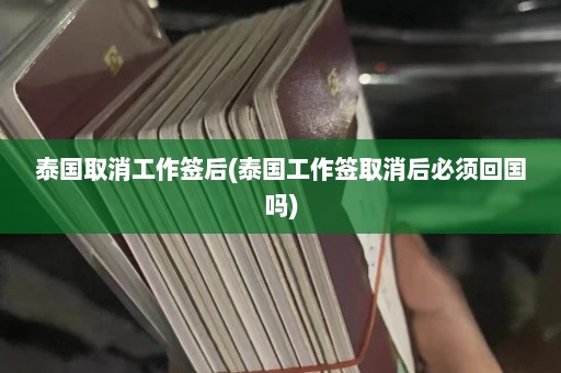 泰国取消工作签后(泰国工作签取消后必须回国吗)  第1张