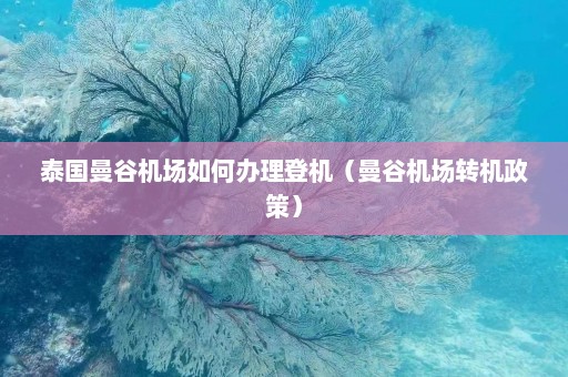 泰国曼谷机场如何办理登机（曼谷机场转机政策）  第1张