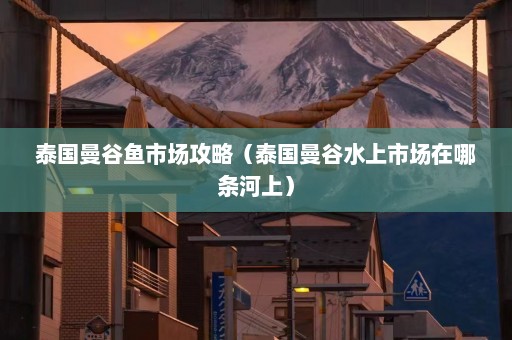 泰国曼谷鱼市场攻略（泰国曼谷水上市场在哪条河上）