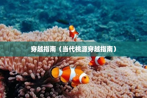 穿越指南（当代桃源穿越指南）