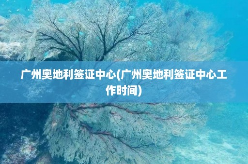 广州奥地利签证中心(广州奥地利签证中心工作时间)  第1张