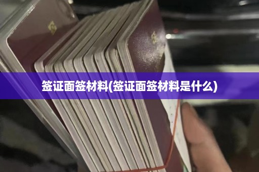 签证面签材料(签证面签材料是什么)