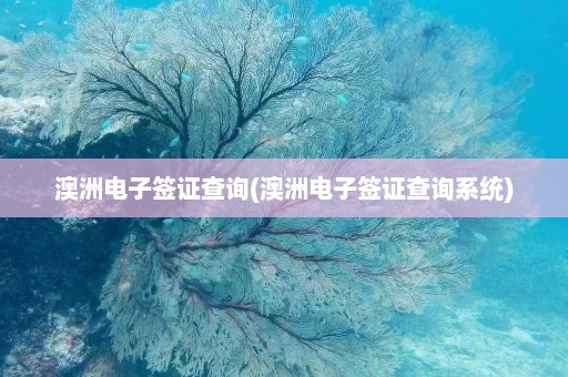 澳洲电子签证查询(澳洲电子签证查询系统)