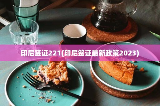 印尼签证221(印尼签证最新政策2023)  第1张