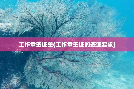 工作量签证单(工作量签证的签证要求)  第1张