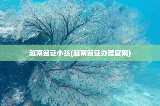 越南签证小孩(越南签证办理官网)