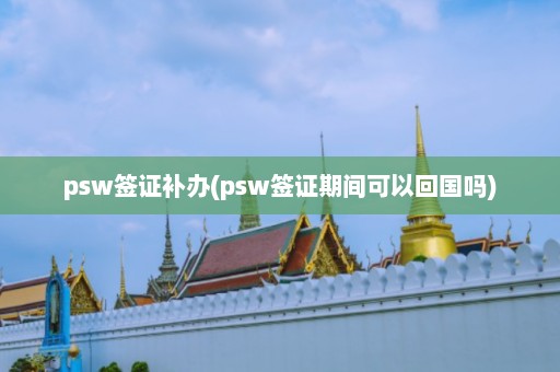 psw签证补办(psw签证期间可以回国吗)  第1张