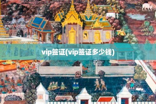 vip签证(vip签证多少钱)  第1张