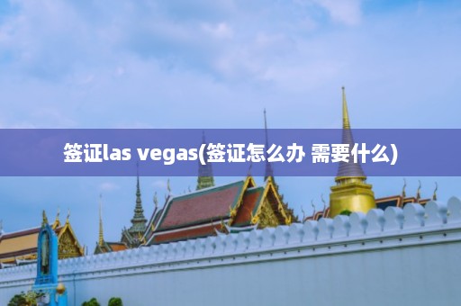 签证las vegas(签证怎么办 需要什么)  第1张