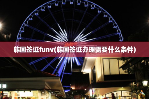 韩国签证funv(韩国签证办理需要什么条件)