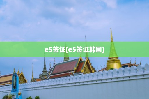 e5签证(e5签证韩国)  第1张