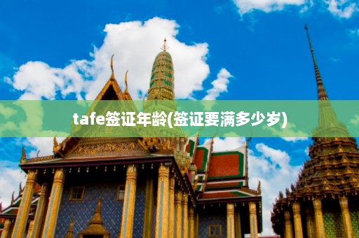 tafe签证年龄(签证要满多少岁)  第1张