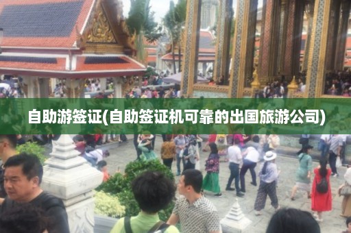 自助游签证(自助签证机可靠的出国旅游公司)  第1张