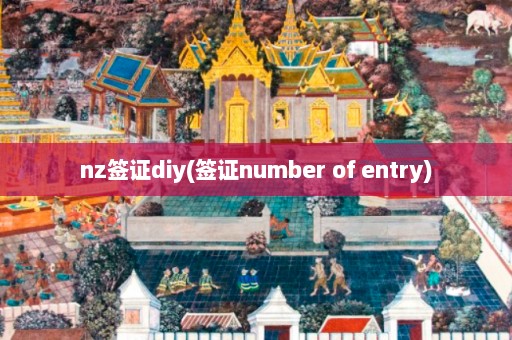 nz签证diy(签证number of entry)