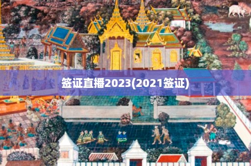 签证直播2023(2021签证)