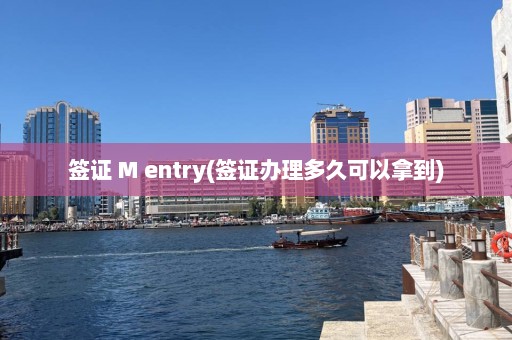 签证 M entry(签证办理多久可以拿到)