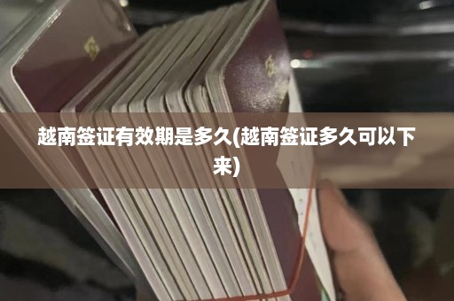 越南签证有效期是多久(越南签证多久可以下来)