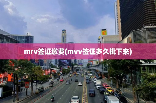 mrv签证缴费(mvv签证多久批下来)  第1张