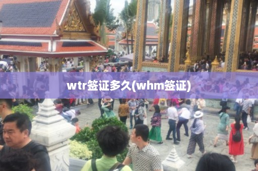 wtr签证多久(whm签证)