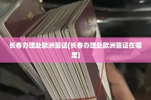 长春办理赴欧洲签证(长春办理赴欧洲签证在哪里)  第1张