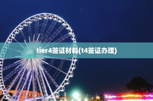 tier4签证材料(t4签证办理)  第1张