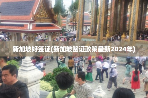 新加坡好签证(新加坡签证政策最新2024年)  第1张