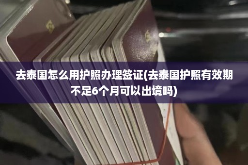 去泰国怎么用护照办理签证(去泰国护照有效期不足6个月可以出境吗)  第1张